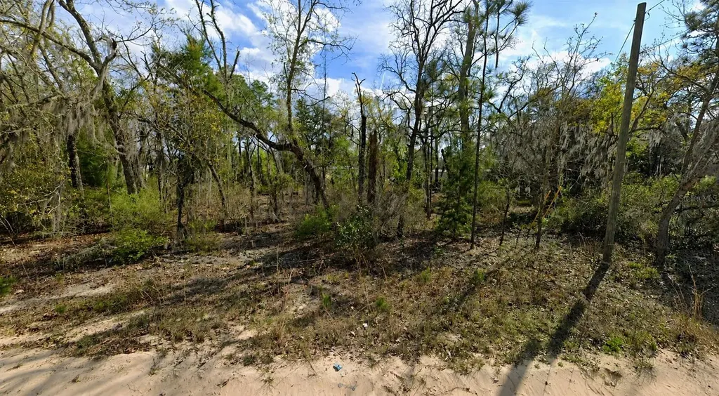 Claudia Street Interlachen FL 32148