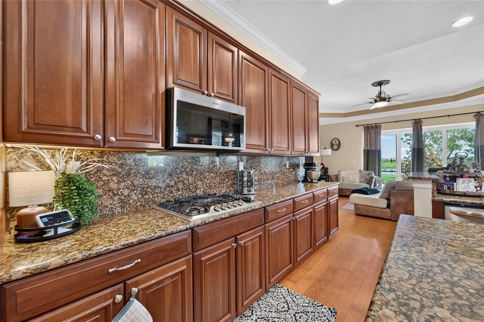 5207 Lake Venice Drive Wimauma FL 33598