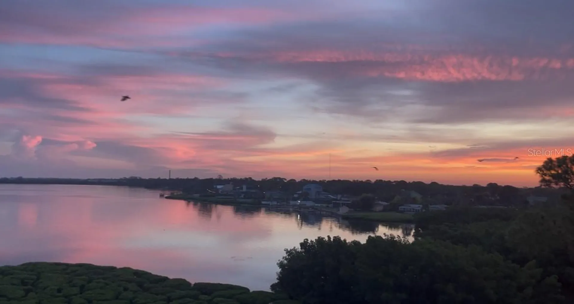 243 Mariner Drive Tarpon Springs FL 34689