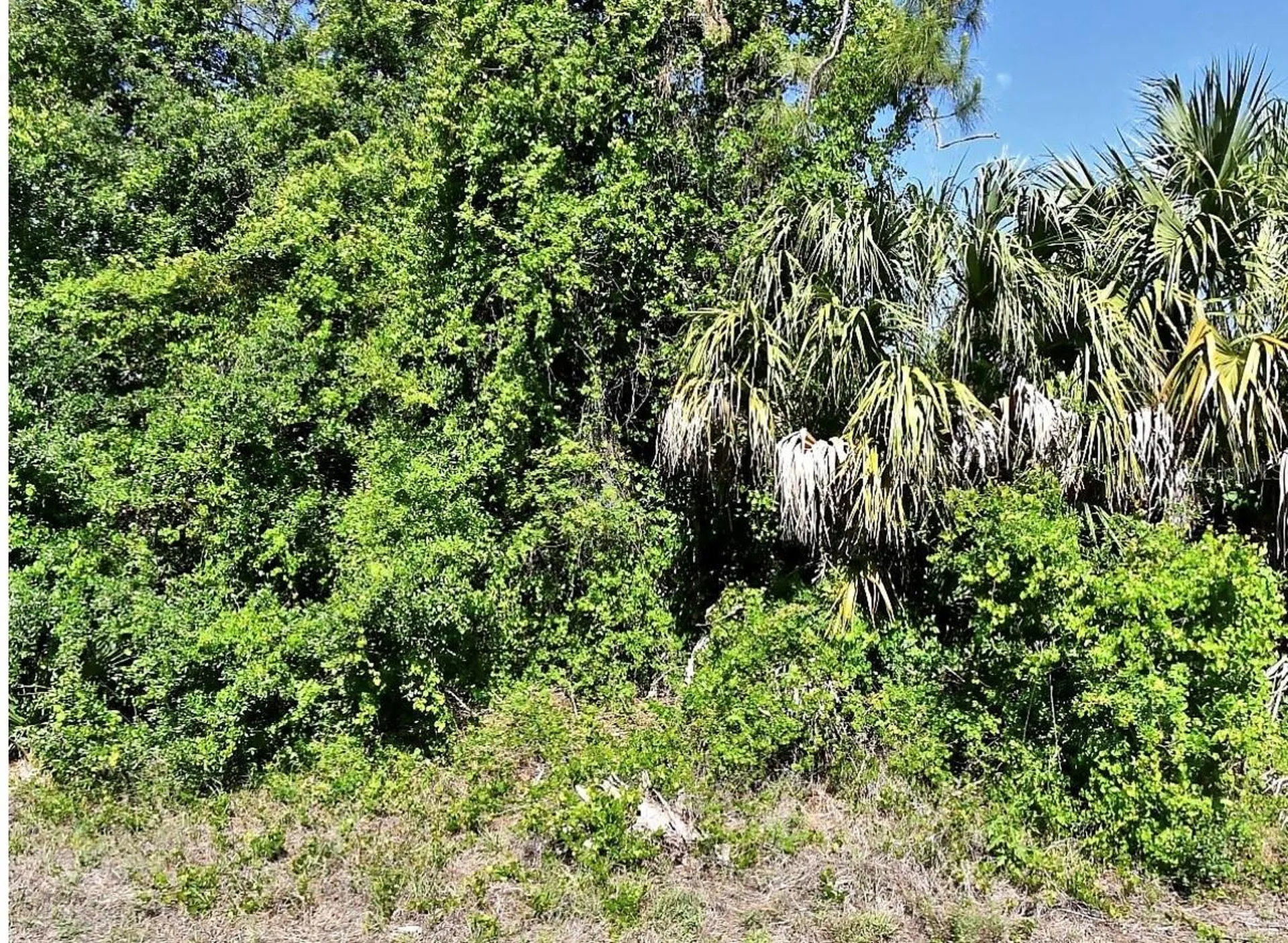 Guttenburg Road North Port FL 34288
