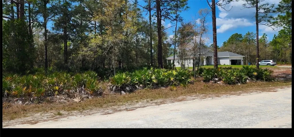 18099 Parakeet Road Brooksville FL 34614