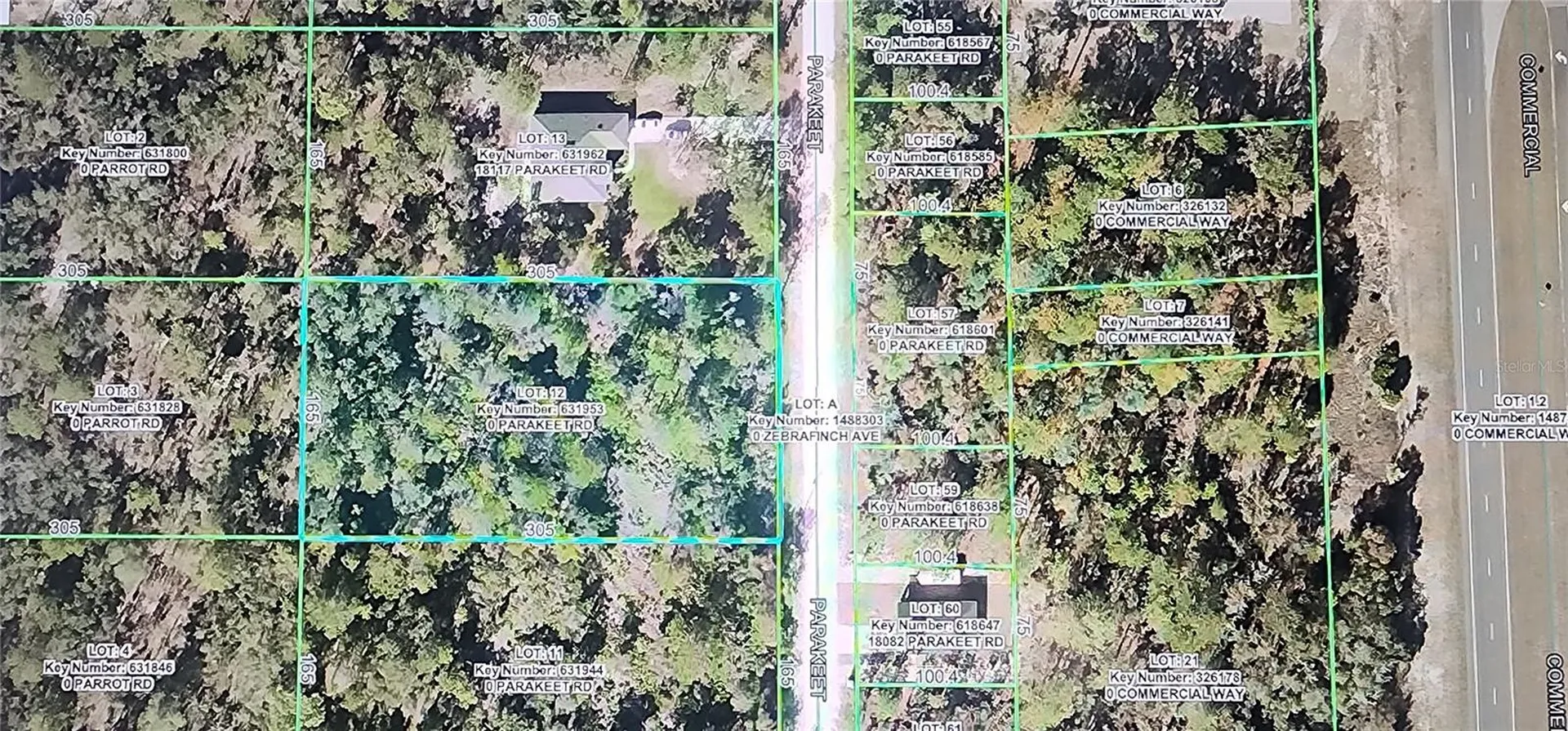 18099 Parakeet Road Brooksville FL 34614