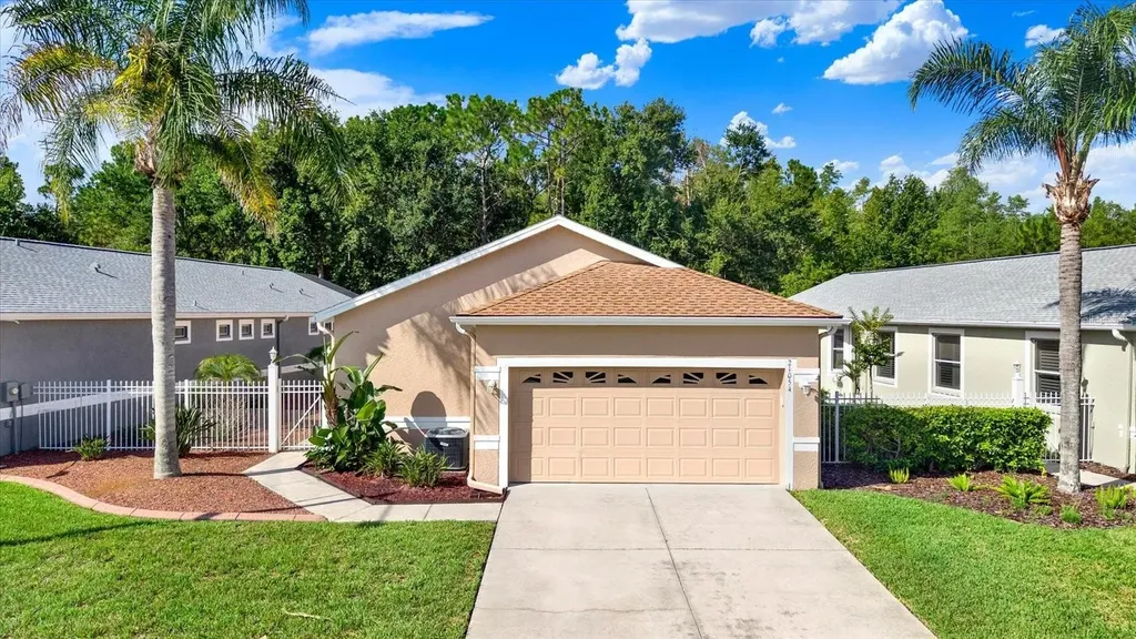 21054 Diamonte Drive Land O Lakes FL 34637