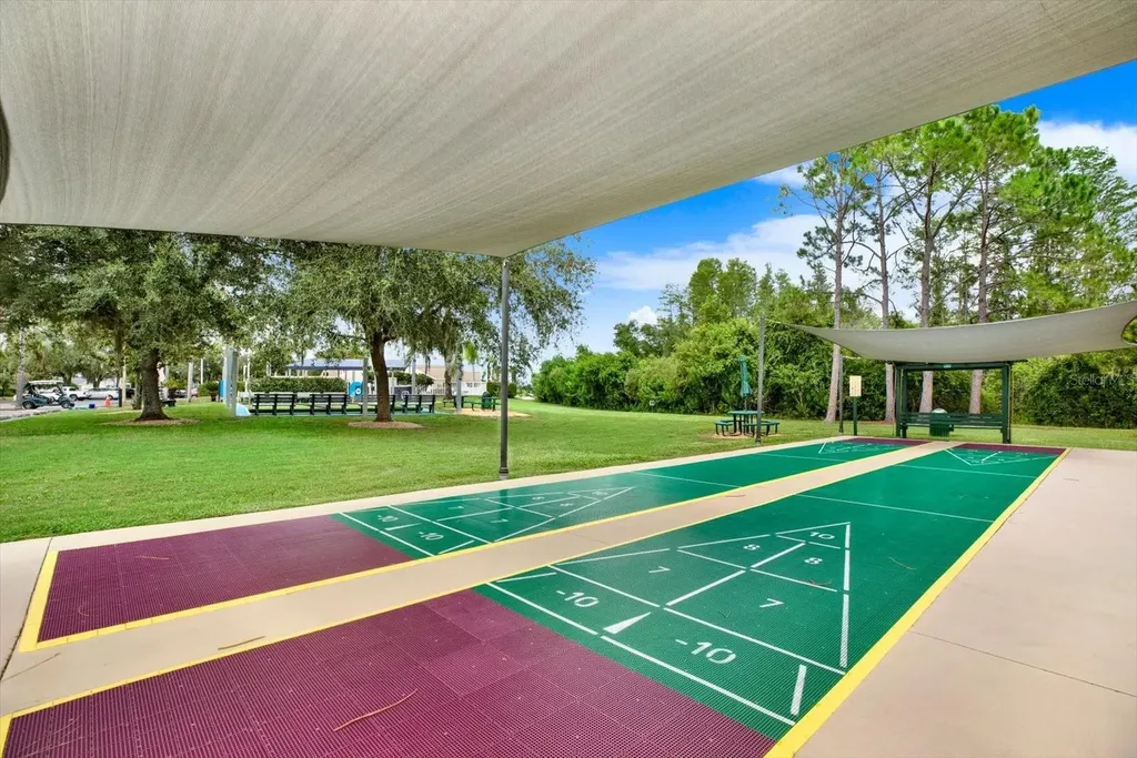 21054 Diamonte Drive Land O Lakes FL 34637