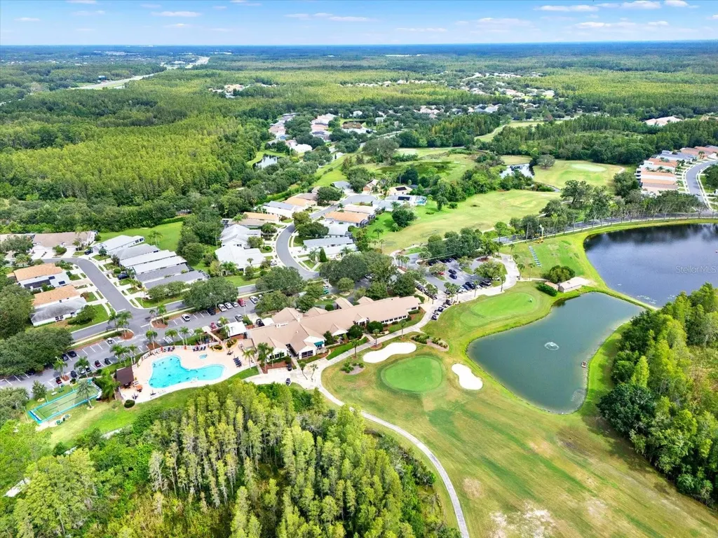 21054 Diamonte Drive Land O Lakes FL 34637