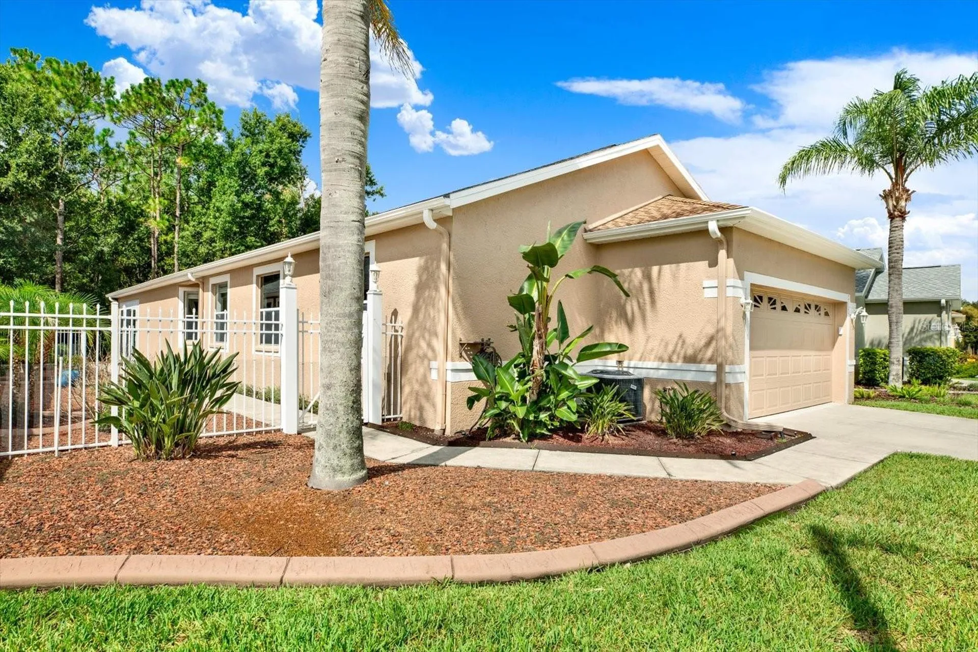 21054 Diamonte Drive Land O Lakes FL 34637
