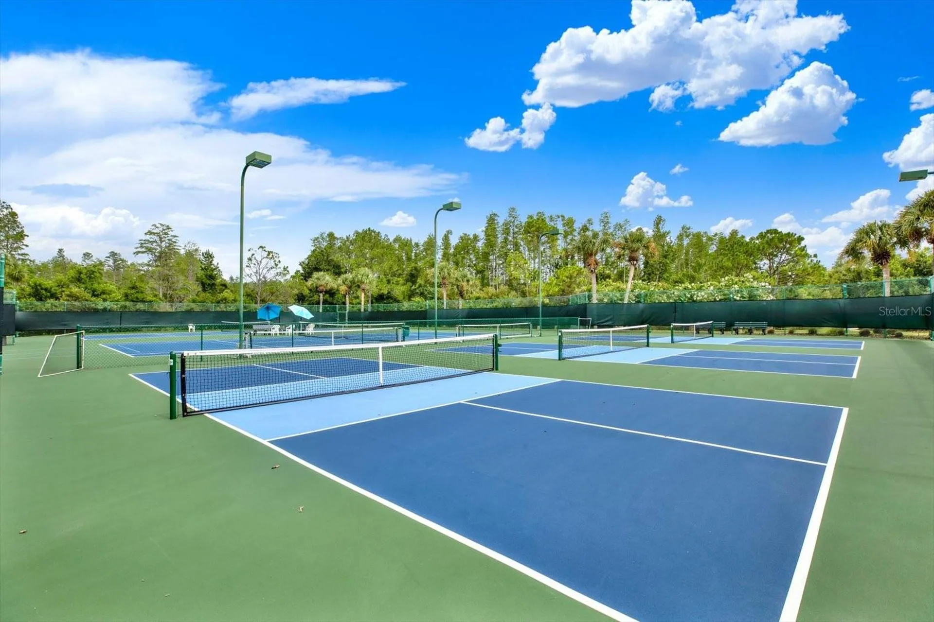 21054 Diamonte Drive Land O Lakes FL 34637