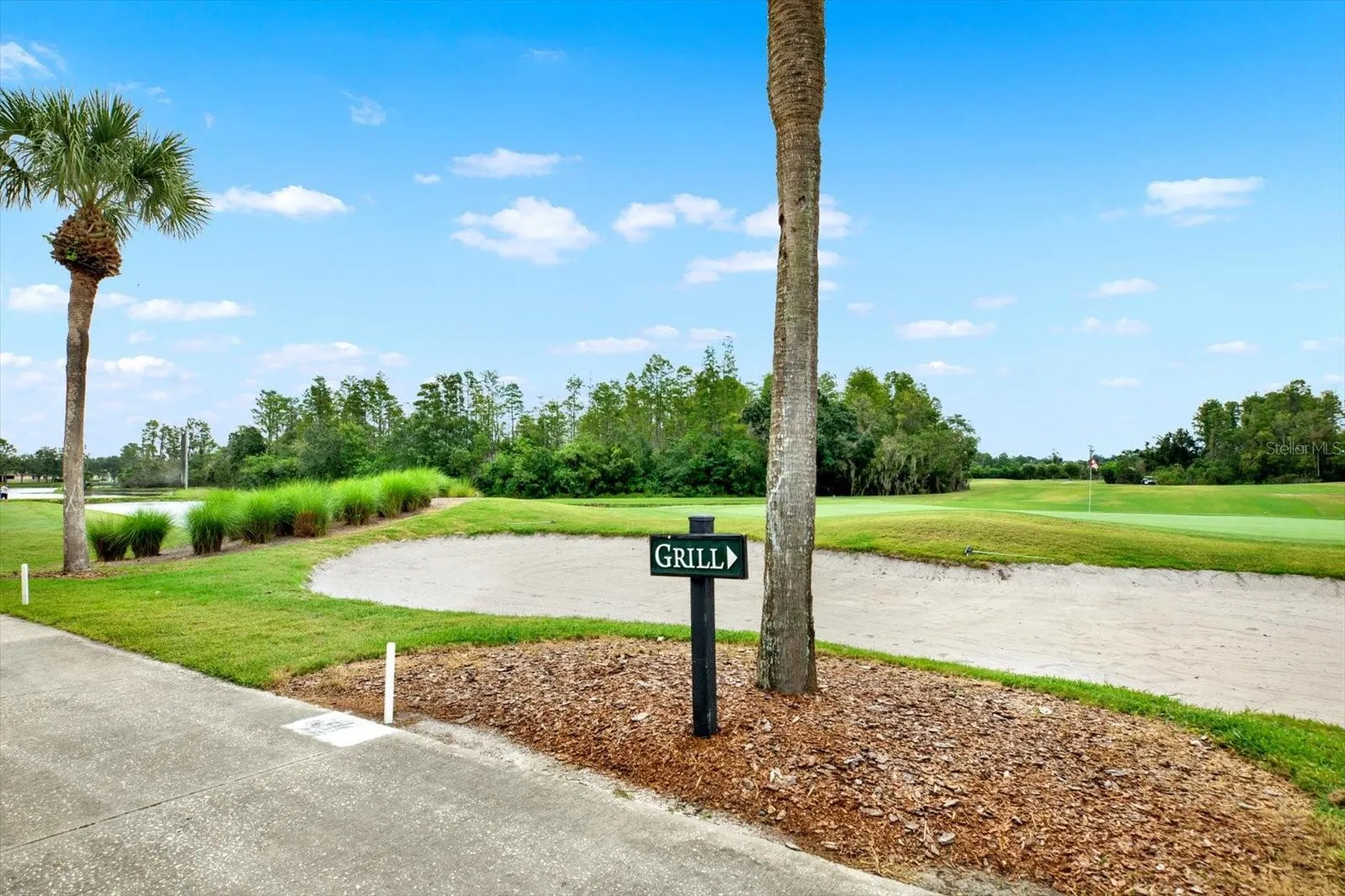 21054 Diamonte Drive Land O Lakes FL 34637