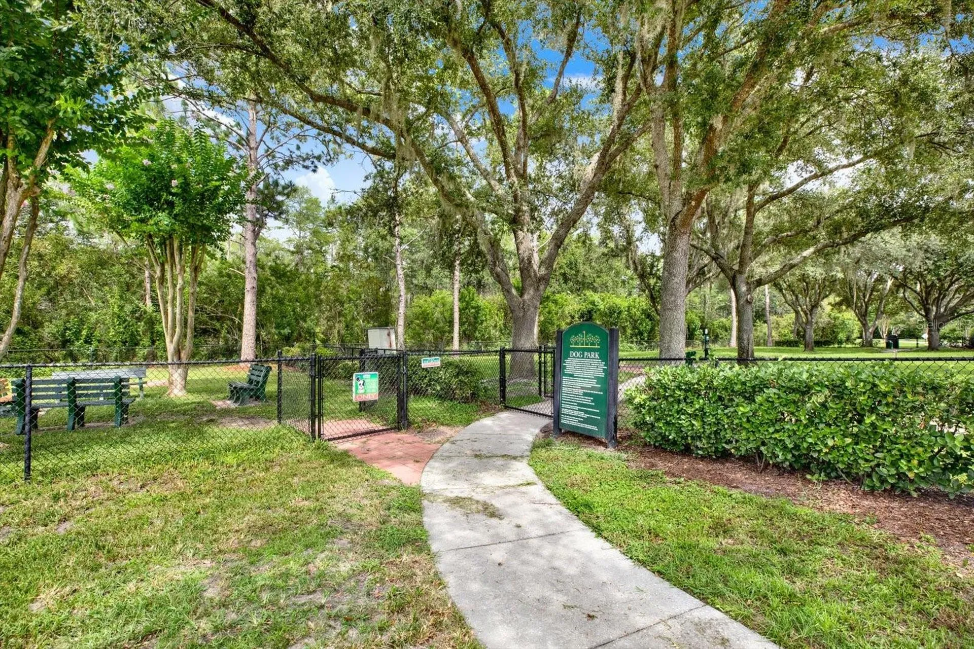 21054 Diamonte Drive Land O Lakes FL 34637