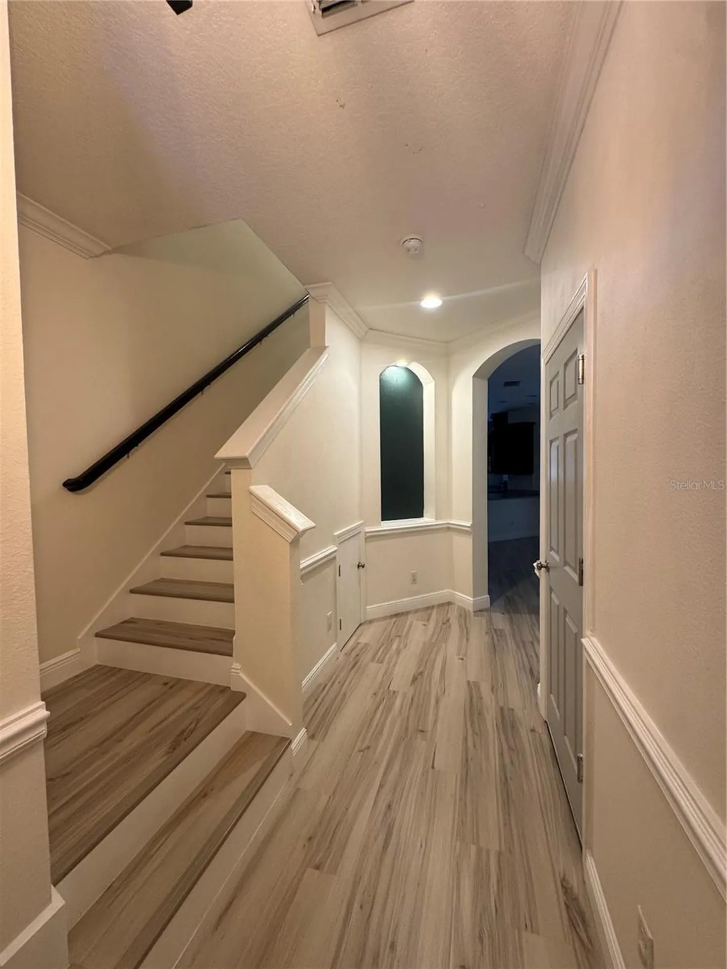 1504 Merlot Court Oldsmar FL 34677