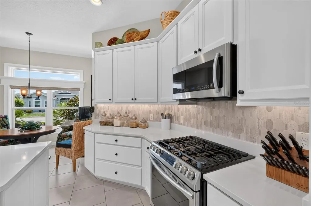1579 Mceldowney Place The Villages FL 32163