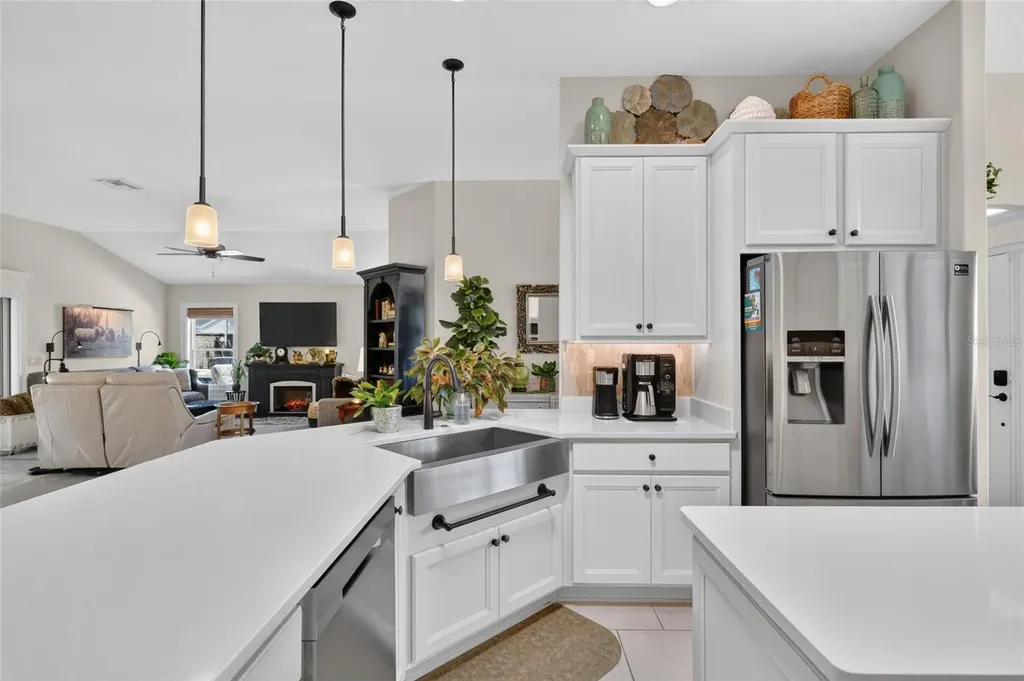 1579 Mceldowney Place The Villages FL 32163