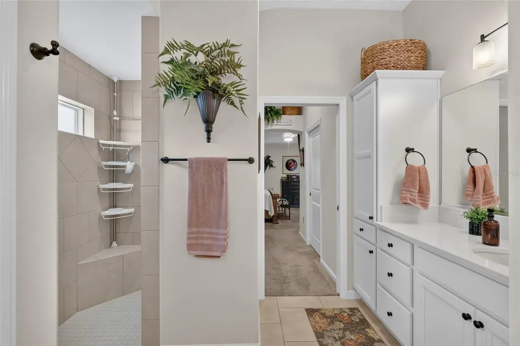 1579 Mceldowney Place The Villages FL 32163