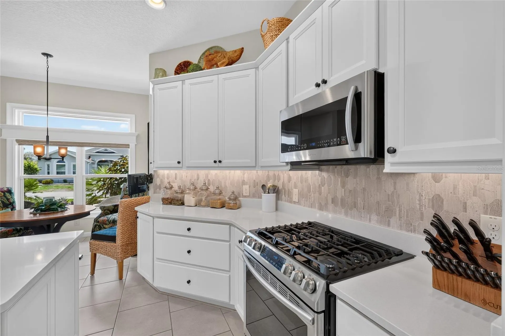 1579 Mceldowney Place The Villages FL 32163
