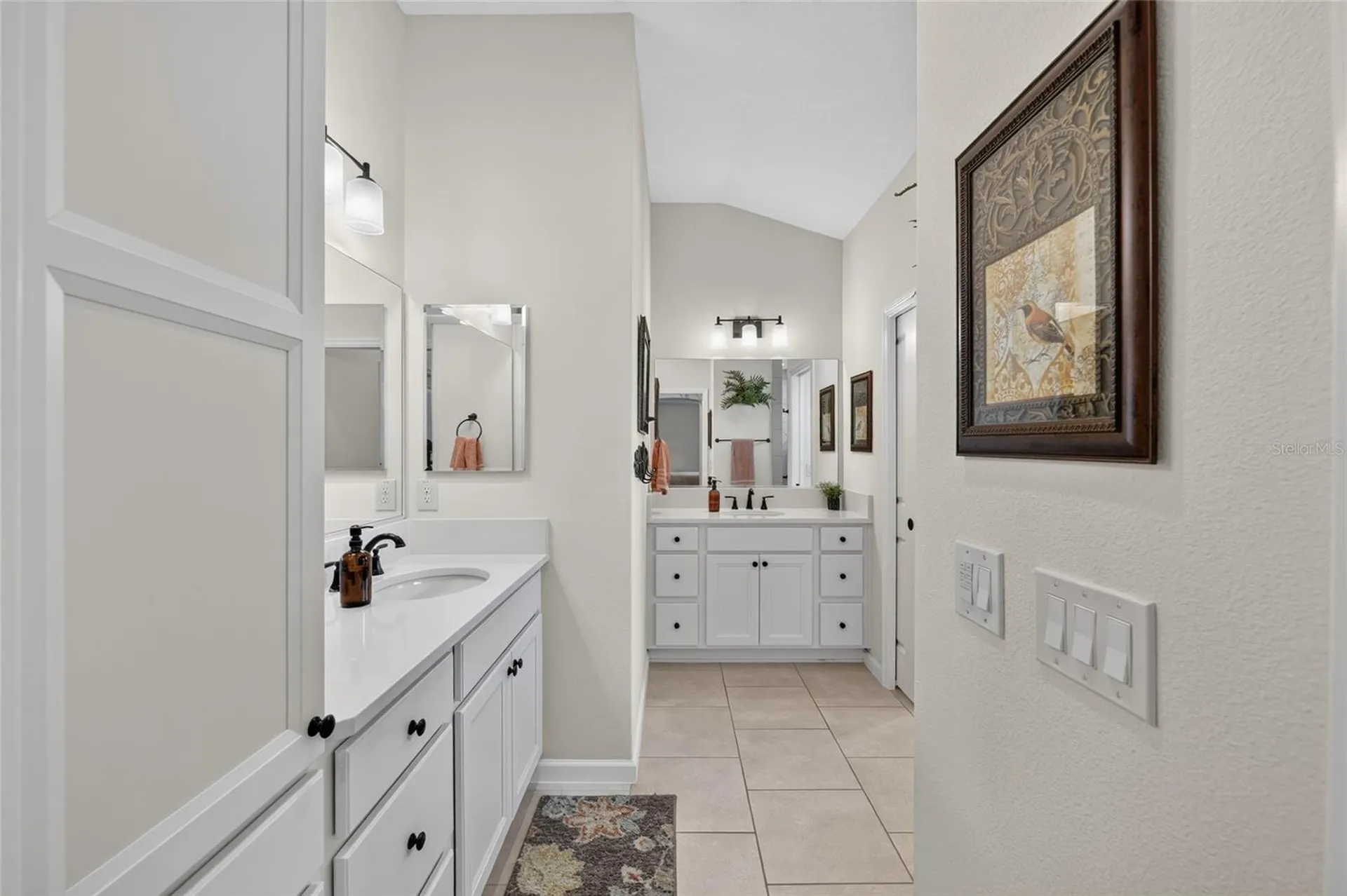1579 Mceldowney Place The Villages FL 32163