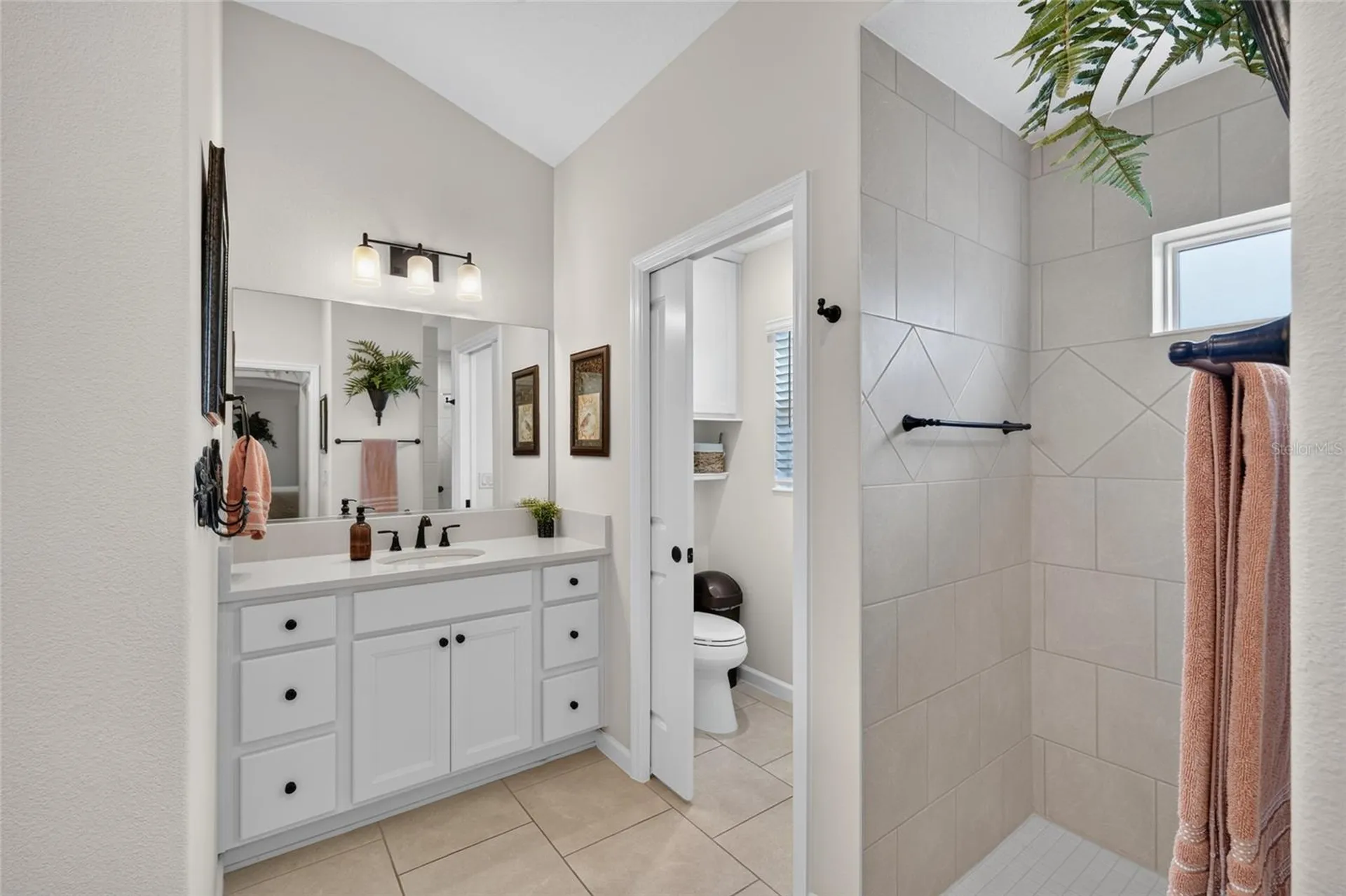 1579 Mceldowney Place The Villages FL 32163