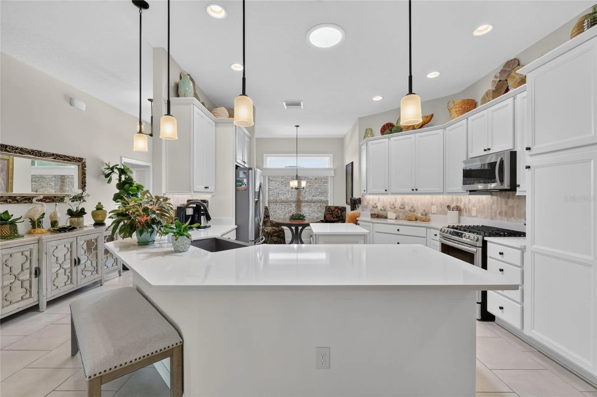 1579 Mceldowney Place The Villages FL 32163