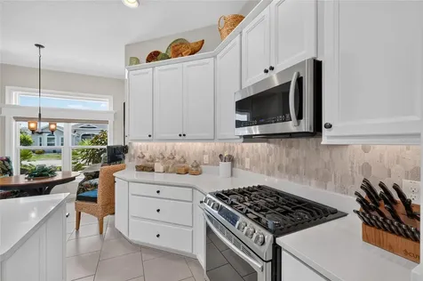 1579 Mceldowney Place The Villages FL 32163
