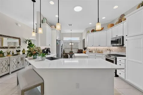 1579 Mceldowney Place The Villages FL 32163