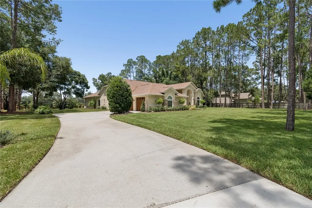 18811 Victor Manuel Drive Lutz FL 33548