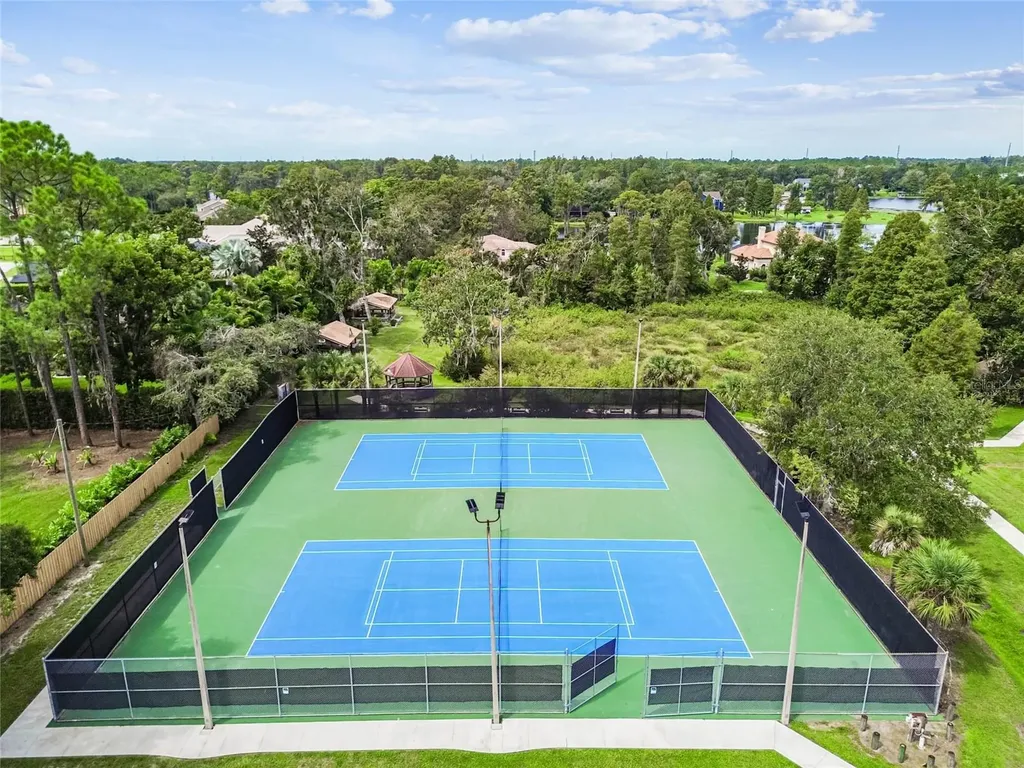 18811 Victor Manuel Drive Lutz FL 33548
