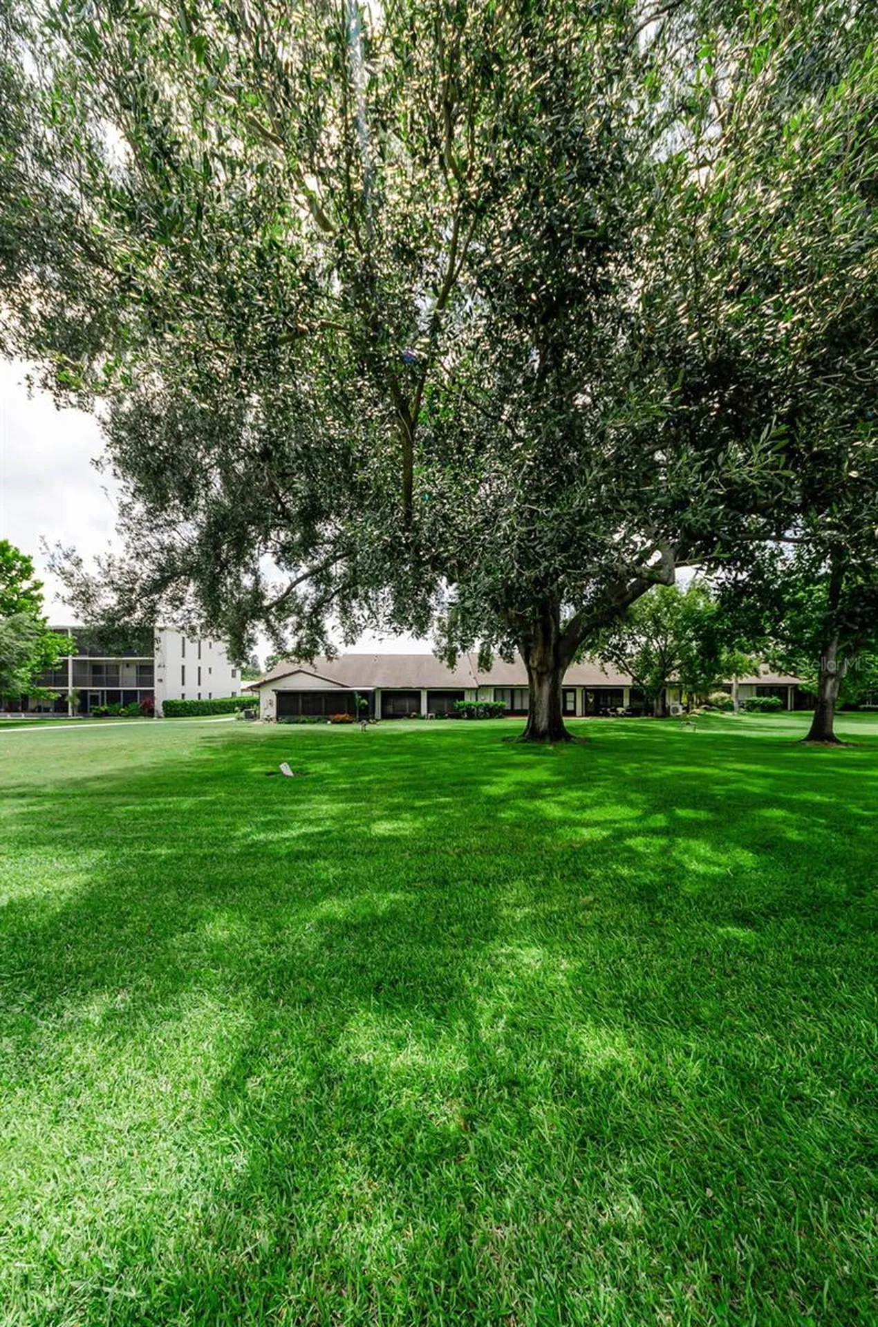 1500 Heather Ridge Boulevard Dunedin FL 34698