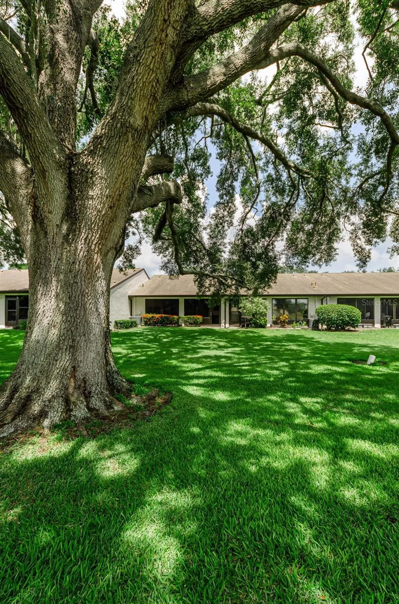 1500 Heather Ridge Boulevard Dunedin FL 34698