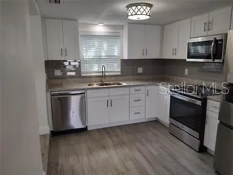 301 Mystic Lake Drive N St Petersburg FL 33702