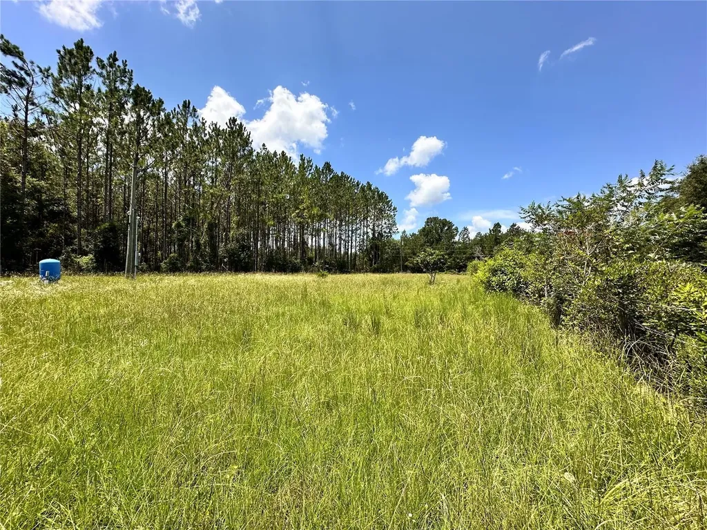 265 SW Skyline Loop Fort White FL 32038