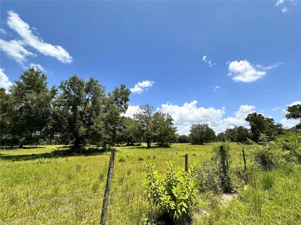 265 SW Skyline Loop Fort White FL 32038