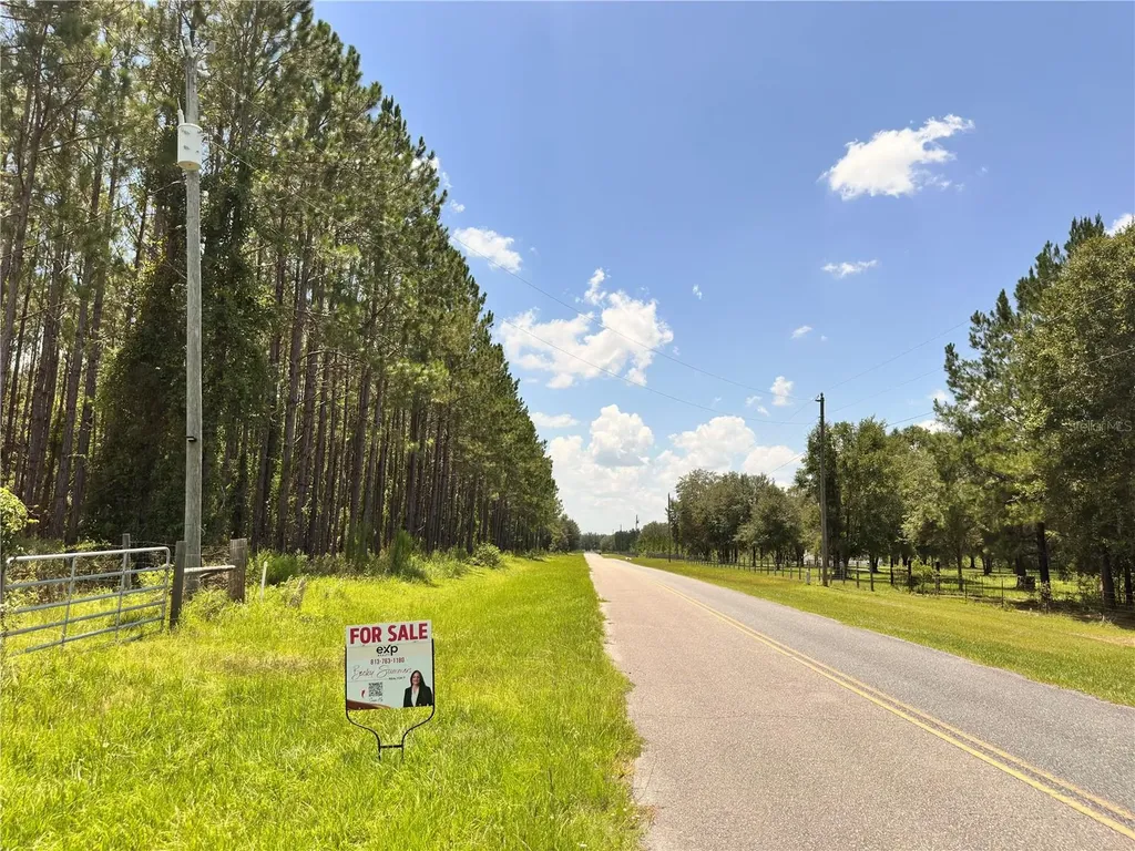 265 SW Skyline Loop Fort White FL 32038