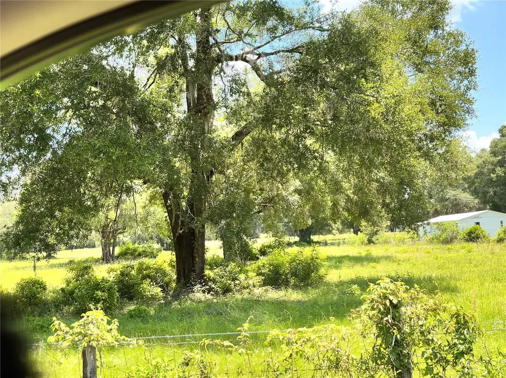 265 SW Skyline Loop Fort White FL 32038
