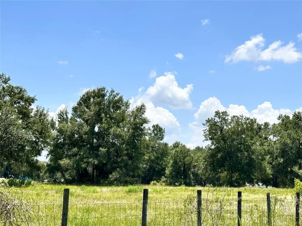 265 SW Skyline Loop Fort White FL 32038