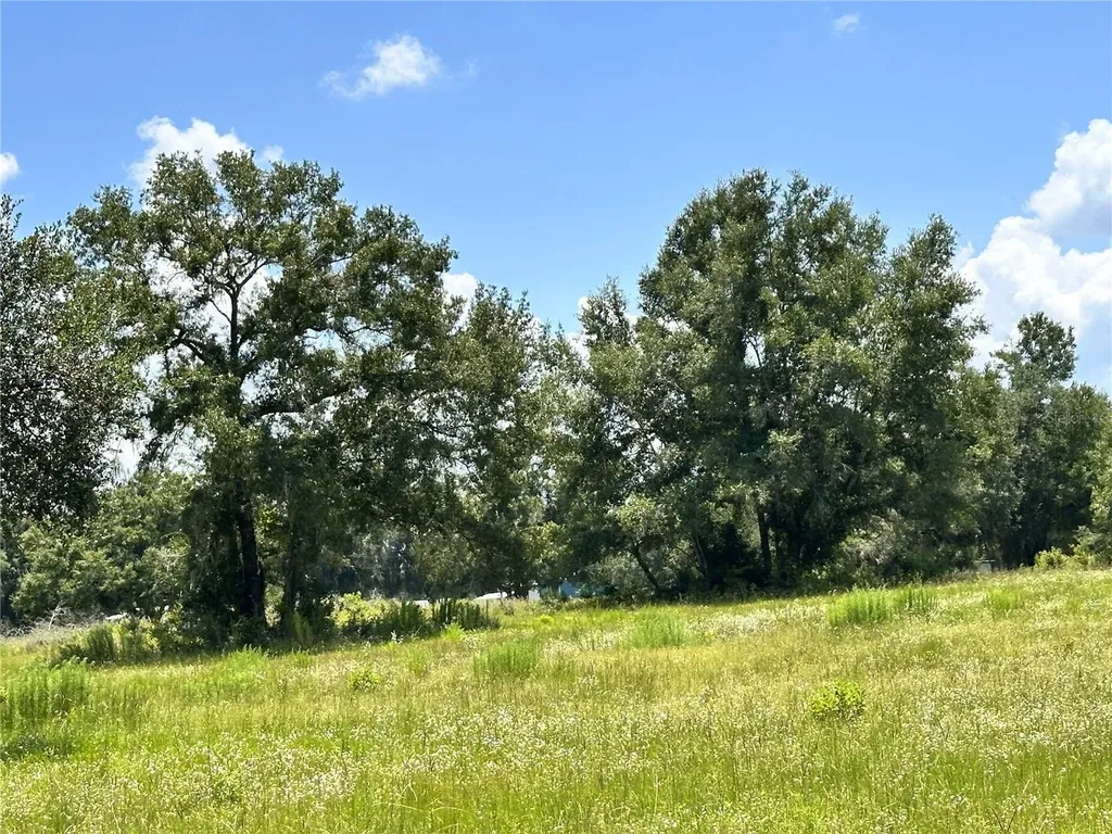 265 SW Skyline Loop Fort White FL 32038