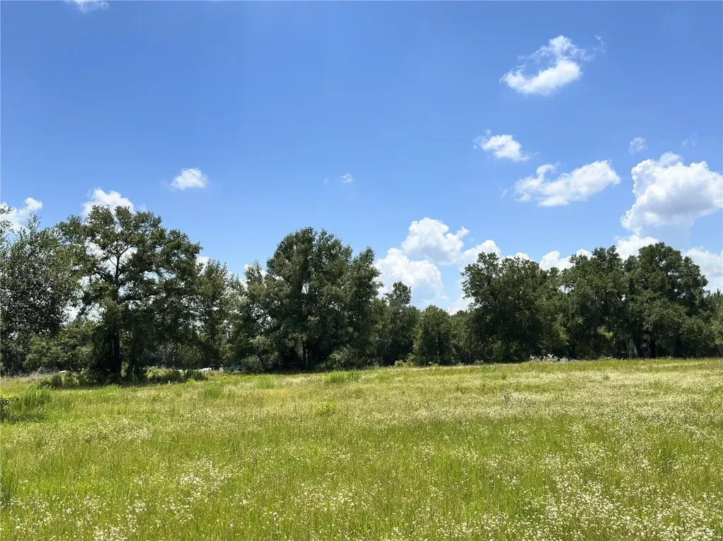 265 SW Skyline Loop Fort White FL 32038