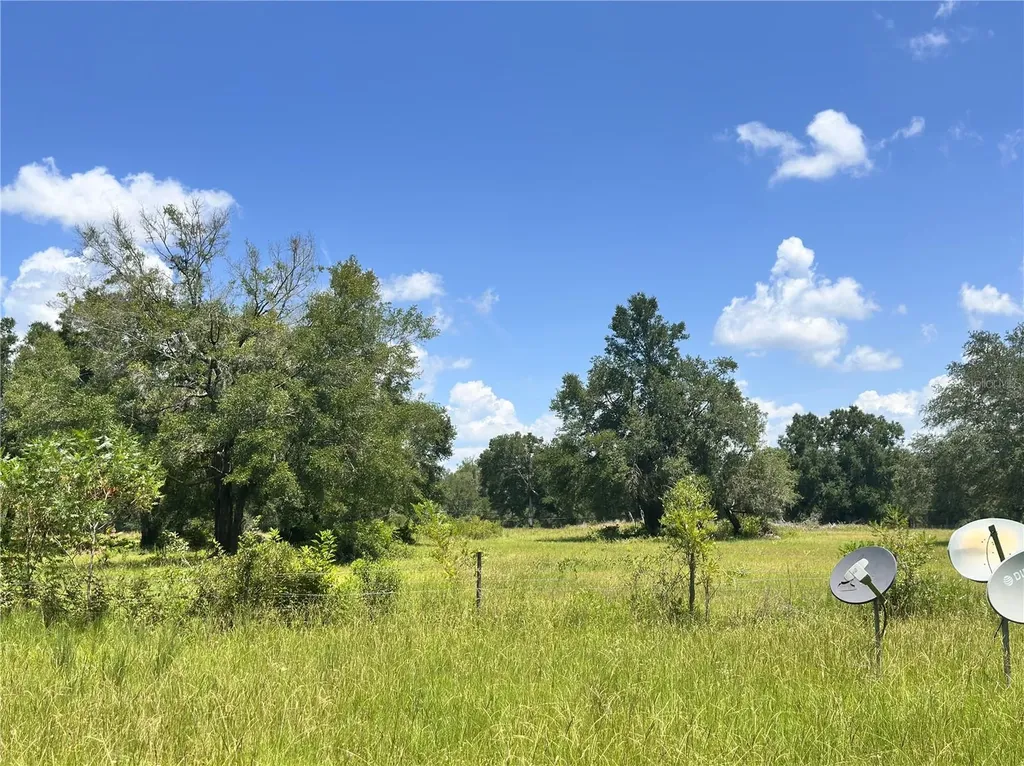 265 SW Skyline Loop Fort White FL 32038