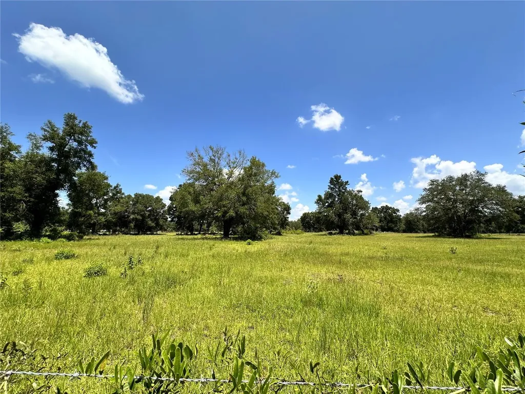 265 SW Skyline Loop Fort White FL 32038