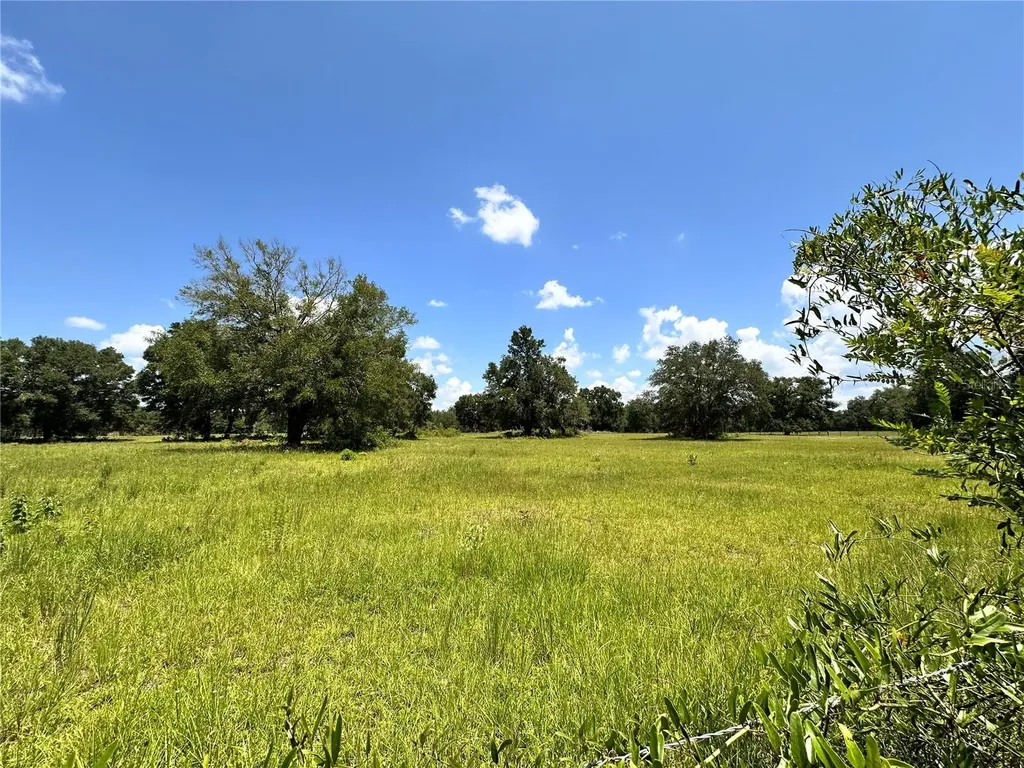 265 SW Skyline Loop Fort White FL 32038