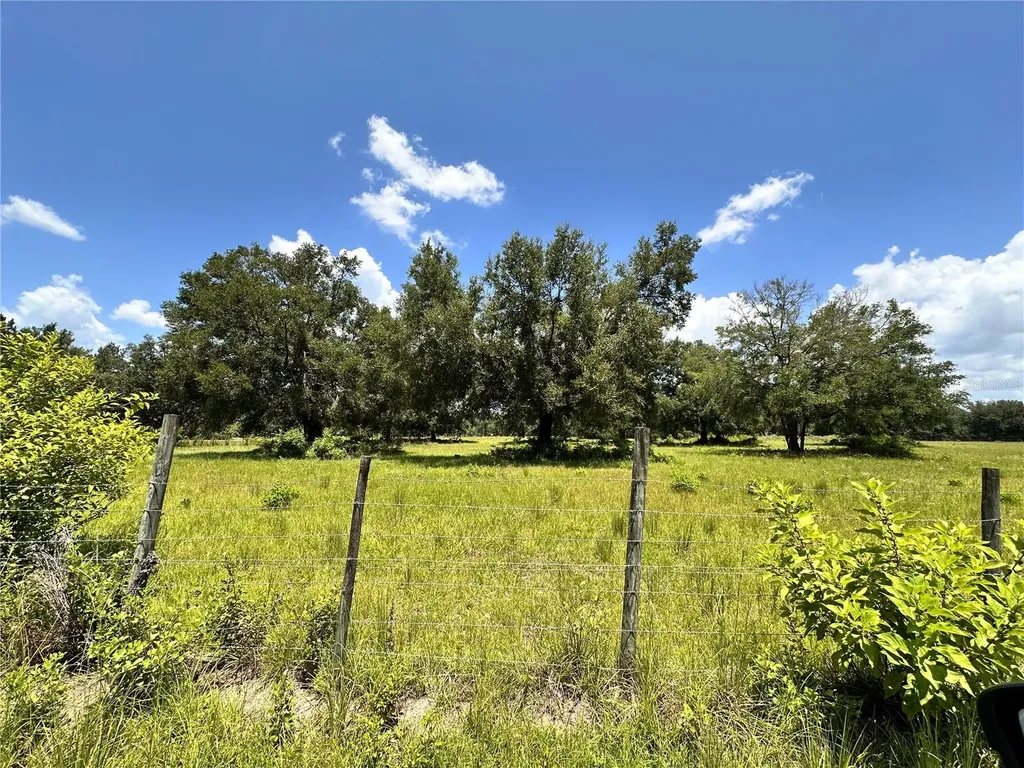 265 SW Skyline Loop Fort White FL 32038