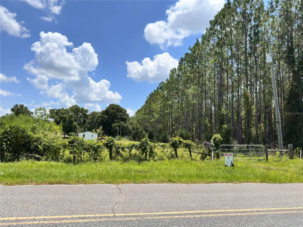 265 SW Skyline Loop Fort White FL 32038