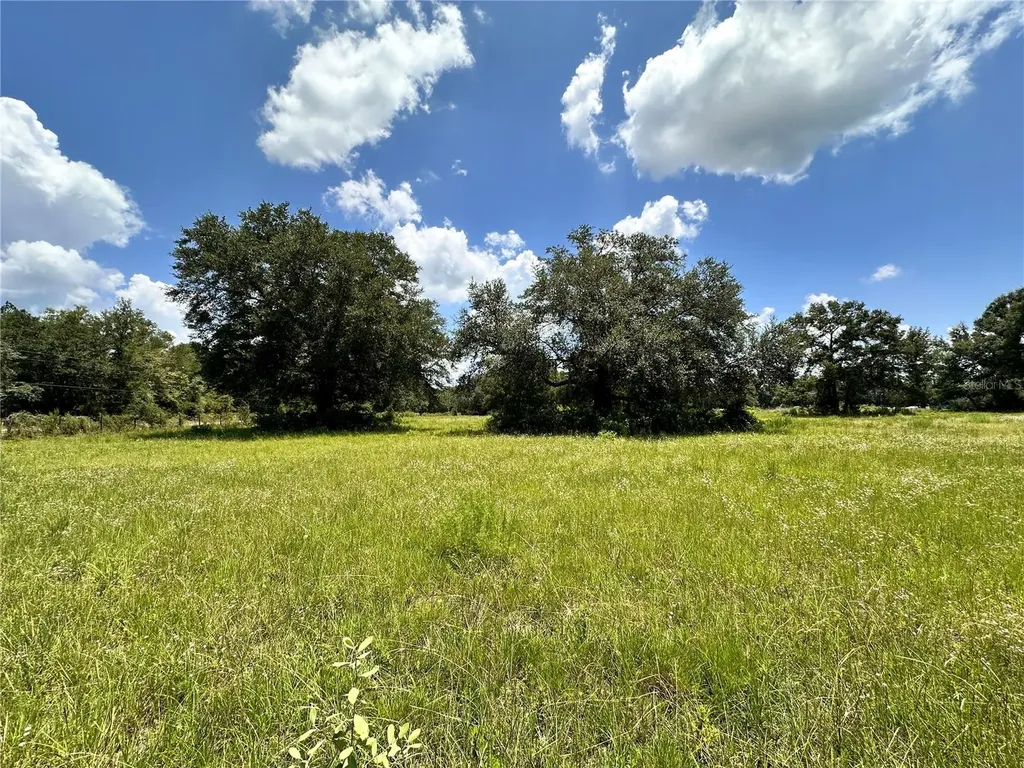 265 SW Skyline Loop Fort White FL 32038