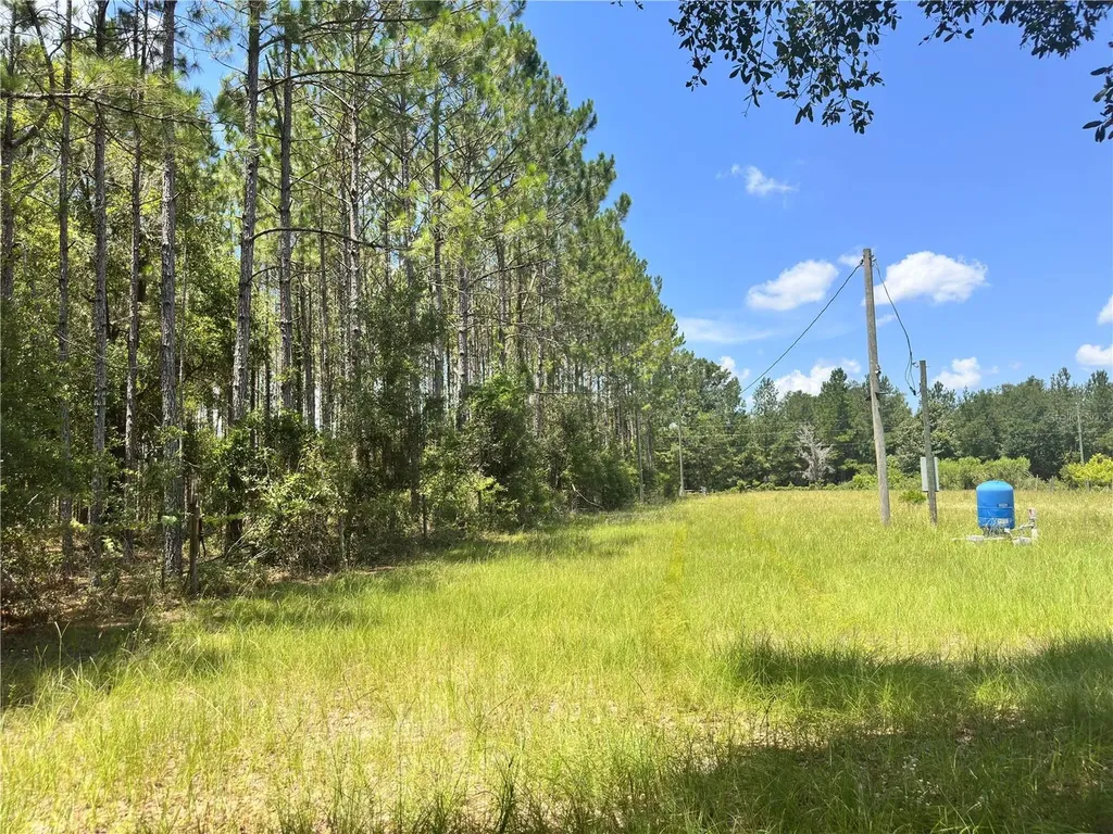 265 SW Skyline Loop Fort White FL 32038