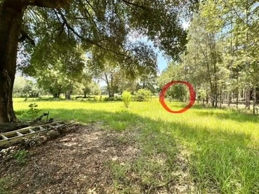 265 SW Skyline Loop Fort White FL 32038