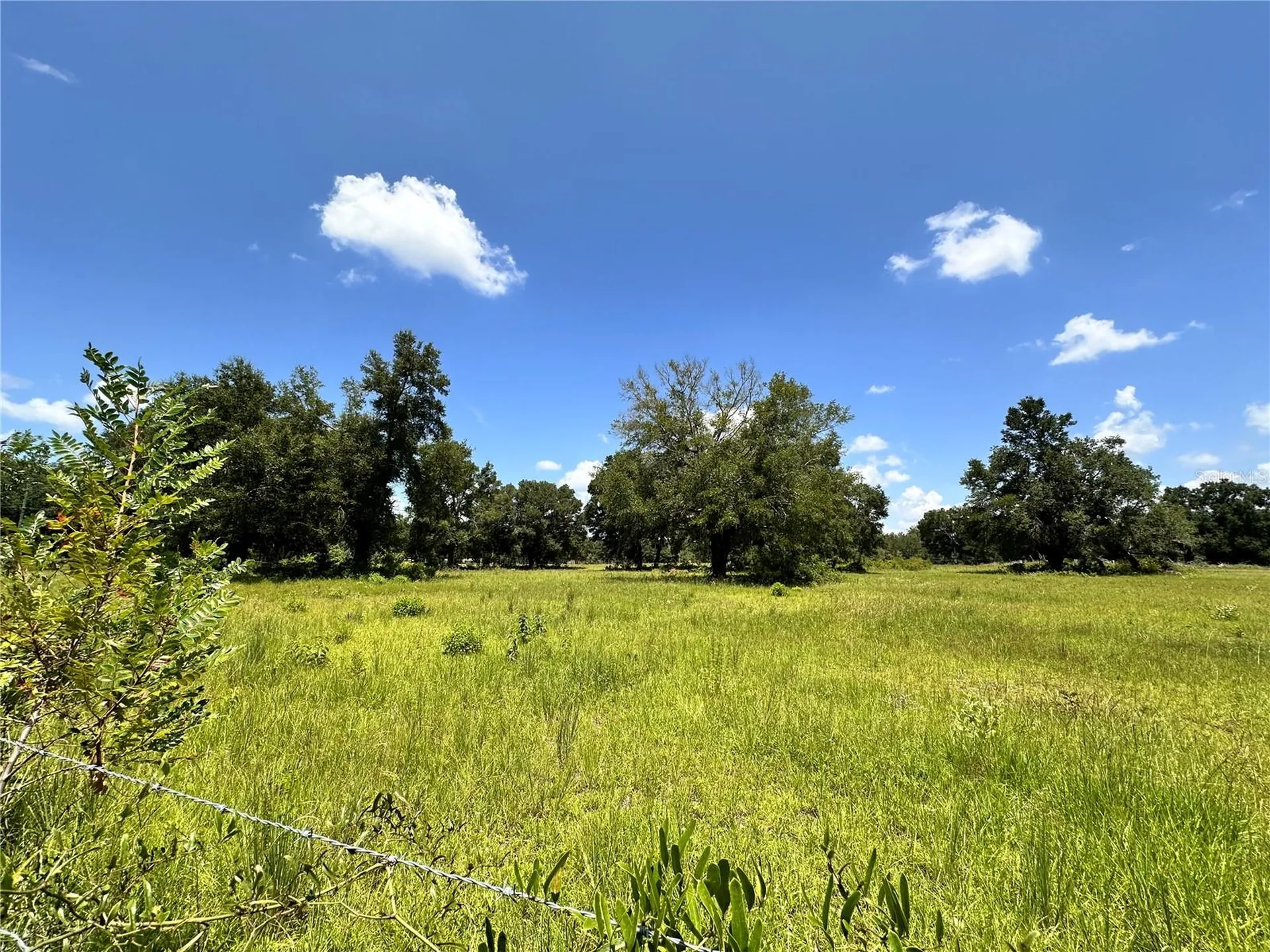 265 SW Skyline Loop Fort White FL 32038