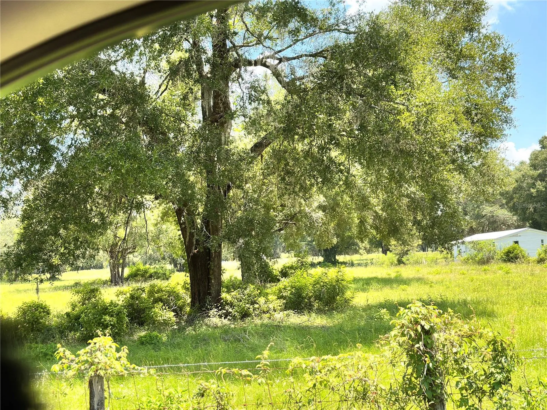 265 SW Skyline Loop Fort White FL 32038