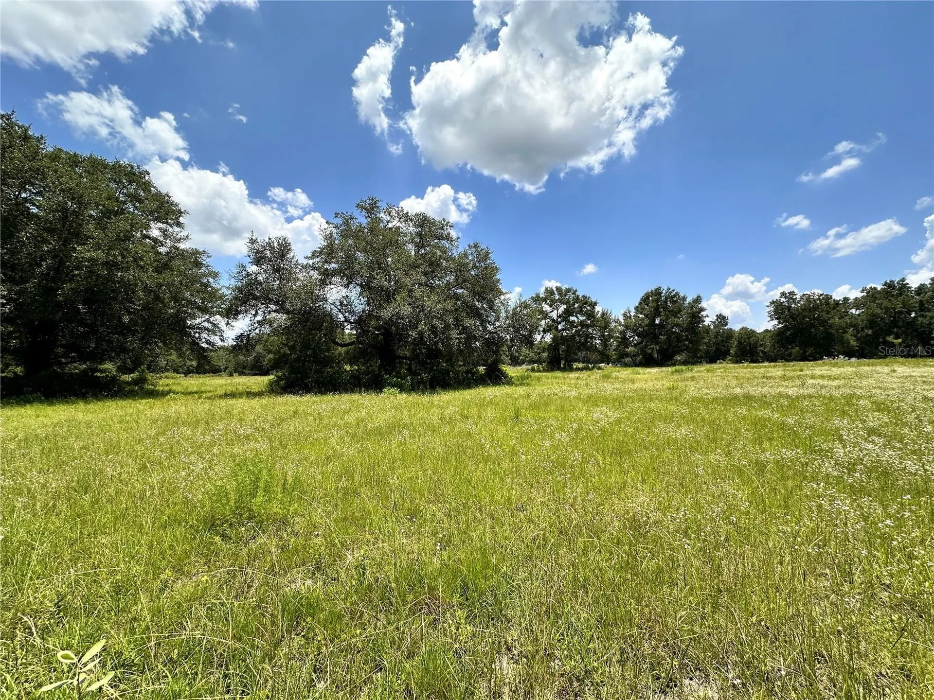265 SW Skyline Loop Fort White FL 32038