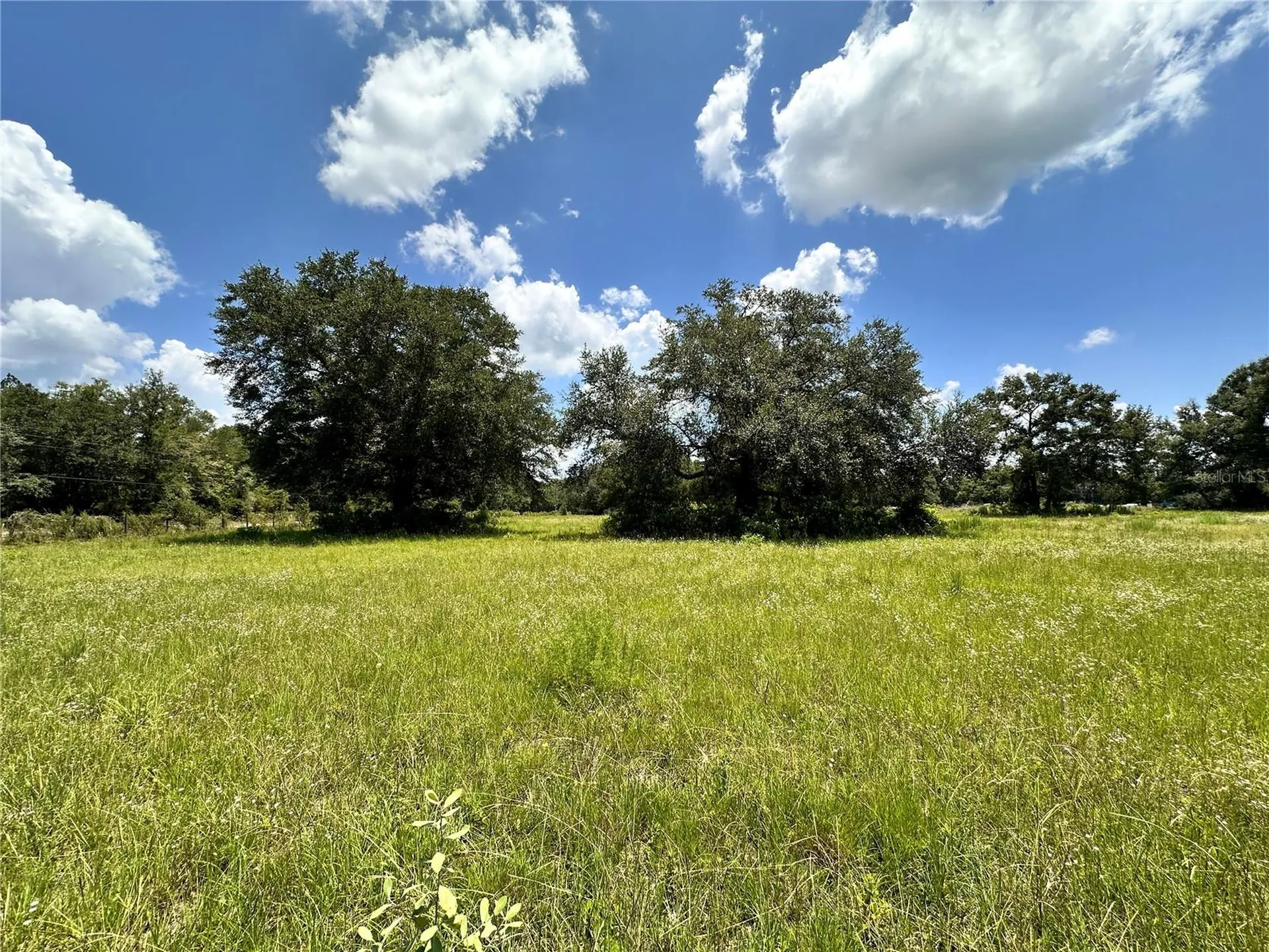 265 SW Skyline Loop Fort White FL 32038