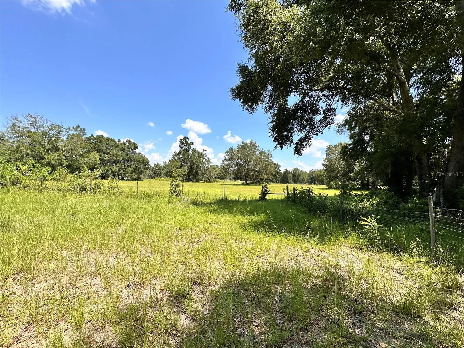 265 SW Skyline Loop Fort White FL 32038