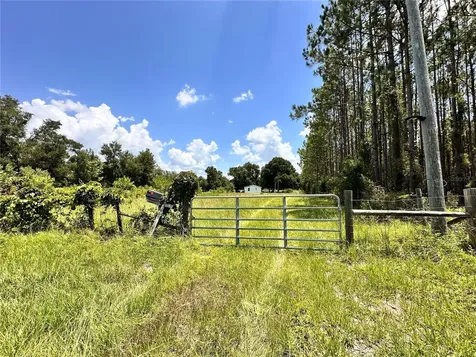 265 SW Skyline Loop Fort White FL 32038