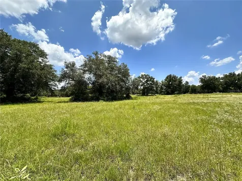 265 SW Skyline Loop Fort White FL 32038